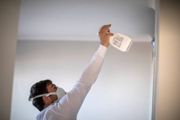 Best Localized Mold Remediation (e.g., coastal areas, humid climates) in Los Gatos, CA
