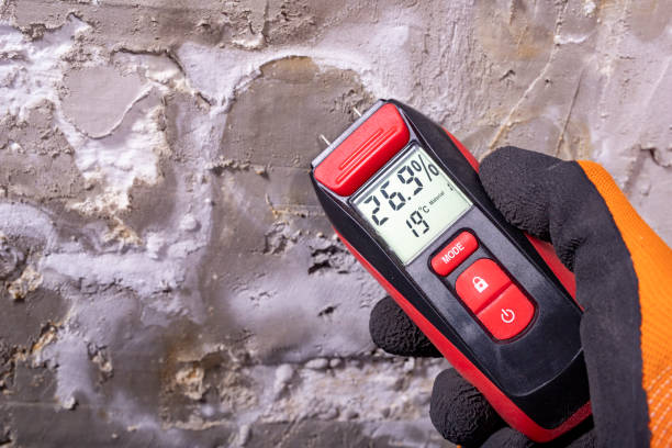Best Residential Mold Remediation in Los Gatos, CA